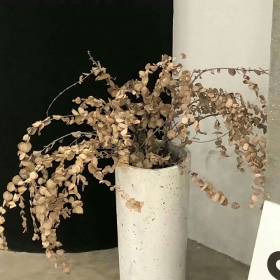 醴陵FurryQQ群介绍